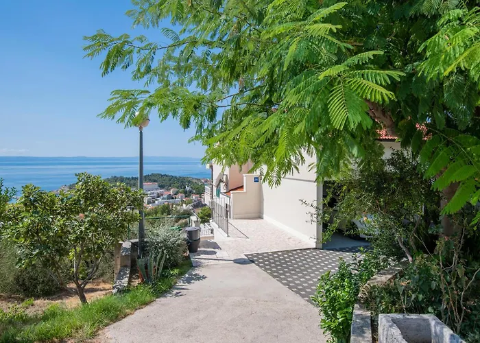 Amazing In Tatil Evi *